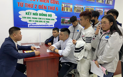 Nhiều cơ hội việc làm bán thời gian cho lao động nữ dịp Tết