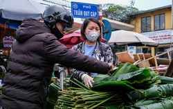 Giá lá dong năm nay thế nào?