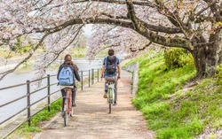 Nhật Bản: Chuyện về chiếc xe đạp và những luật lệ kỳ lạ, mua xe cũ khó khăn hơn tậu nhà mới