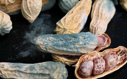 3 thực phẩm “độc bảng A” chứa chất gây ung thư nhóm 1 được WHO khuyến cáo ngừng ăn
