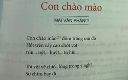 Thêm một bài thơ trong SGK lớp 6 trở thành tâm điểm tranh cãi: "Triu… uýt… huýt… tu hìu…" là gì?