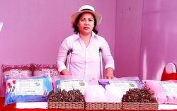 Tạo việc làm cho phụ nữ khuyết tật nhờ tận dụng nguồn lá đinh lăng