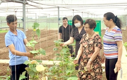 PGS.TS. Bùi Thị An: Cần phát huy phẩm chất của người phụ nữ trí thức Hà Nội