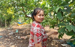 Nhọc nhằn những phụ nữ rời quê đi làm trang trại