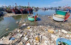 Tăng cường năng lực phòng ngừa, ứng phó sự cố môi trường cấp quốc gia đến năm 2030
