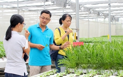Có 17 nữ trong số 100 Nông dân Việt Nam xuất sắc năm 2023 