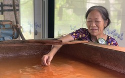 10 năm sống khổ bên dự án tuyển quặng sắt hoang tàn