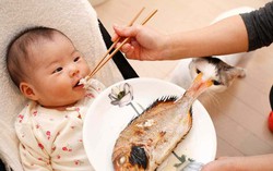 Hải sản giàu canxi nhưng cho trẻ ăn thế nào mới đúng?