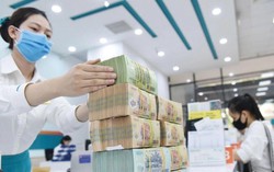 Cần làm gì để được vay vốn gián tiếp từ Quỹ Phát triển doanh nghiệp nhỏ và vừa?