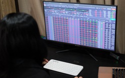 Chứng khoán tuần 9-15/10: "Đón sóng" kết quả kinh doanh quý 3; DOJI có nữ phó chủ tịch mới