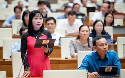 Tình trạng trẻ em bị xâm hại gia tăng, đi ngược với mục tiêu của Quốc hội