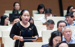Cần chính sách ưu đãi đặc biệt cho nông nghiệp xanh, tạo điều kiện doanh nghiệp nông nghiệp tiếp cận vốn