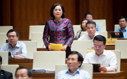 Thống đốc Ngân hàng Nhà nước: Dư nợ tín dụng trên GDP của Việt Nam thuộc mức cao nhất trên thế giới
