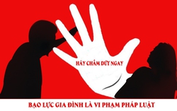 Hành vi bạo lực gia đình và các hành vi bị nghiêm cấm trong phòng, chống bạo lực gia đình