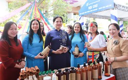 Những điều cần biết về Cuộc thi "Phụ nữ khởi nghiệp sáng tạo và chuyển đổi xanh" năm 2024