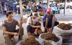 Nguy hại từ thói quen “ăn” thuốc lào của phụ nữ dân tộc Mường