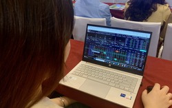 Chứng khoán tuần 13-19/11: Cơ hội "bắt đáy" cho cổ phiếu tiềm năng?