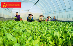 Các cấp Hội LHPN Thủ đô chung tay quảng bá sản phẩm của hội viên, phụ nữ phụ nữ