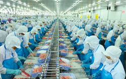 Sau 2 tuần chậm nộp, doanh nghiệp của "nữ tướng" Lệ Khanh công bố lãi giảm 56%