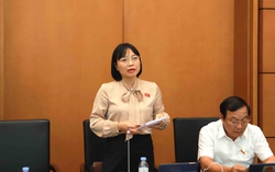 ĐBQH băn khoăn việc thực thi khi mở rộng đối tượng tham gia BHXH bắt buộc