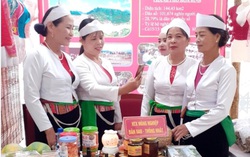 Những phụ nữ dân tộc thiểu số "cõng" hàng đi tìm thị trường tiêu thụ
