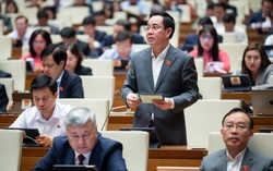 Đại biểu Quốc hội đề nghị đưa dạy thêm vào danh mục ngành nghề kinh doanh có điều kiện