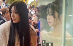 Irene được gọi là “chiến thần cam thường", đẹp như đồ họa
