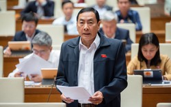 "Vụ Vạn Thịnh Phát là kỷ lục về hối lộ, người dân rất trông chờ vào thu hồi tài sản"
