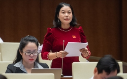 "Nếu tuổi hưu là 60, giáo viên mầm non khó đảm bảo an toàn cho trẻ"
