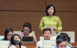 Phụ nữ phải rút Bảo hiểm xã hội một lần chủ yếu là cho gia đình và con nhỏ