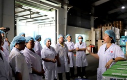 Tổ chức cho phụ nữ tham quan, gắn kết với doanh nghiệp để hỗ trợ khởi nghiệp