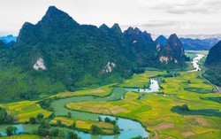 Cao Bằng phát triển kinh tế lâm nghiệp theo 3 trọng tâm