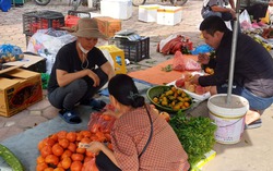 Thị dân tìm về chợ quê để tránh “bão giá”