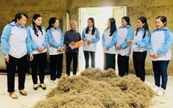 Nâng cao vai trò của Hội LHPN trong giữ gìn giá trị gia đình truyền thống và xây dựng gia đình thời kỳ mới