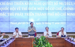 Thủ tướng: Riêng TPHCM có thể phân cấp tới cấp phường