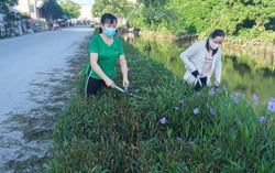 Phụ nữ Hưng Yên chung tay bảo vệ môi trường, góp phần xây dựng nông thôn mới kiểu mẫu