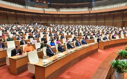 Giảm 2% thuế VAT, đề nghị tăng cường phòng ngừa tội phạm xâm hại, bạo hành trẻ em