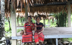 Hành trình thoát nghèo của người mẹ đơn thân dân tộc Cơ Tu ở A Lưới
