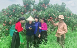 Nỗ lực xóa bỏ tư tưởng trọng nam khinh nữ trong người cao tuổi vùng đồng bào dân tộc thiểu số