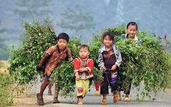 Đại biểu Quốc hội: "Cái no lo chưa tới" với trẻ em dân tộc thiểu số
