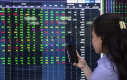 Chứng khoán tuần 6 - 10/11: Thị trường khó đoán