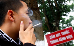 Phòng, chống tác hại thuốc lá: Cần tăng cường xử phạt hành vi vi phạm