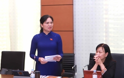 Dự án Luật Công nghiệp quốc phòng, an ninh và động viên công nghiệp: Đề nghị bổ sung chính sách cho lao động nữ