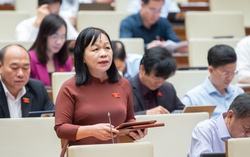 "Dự án sân bay Long Thành đã vắt qua 3 nhiệm kỳ Quốc hội, hy vọng sẽ không hoãn nữa!"