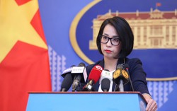 13 công dân Việt Nam ở dải Gaza về nước an toàn