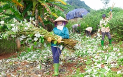 Đồng hành cùng phụ nữ vùng cao tiến về phía trước