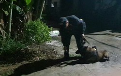 Huy động chó nghiệp vụ tìm kiếm bé trai 2 tuổi mất tích ở Nghệ An