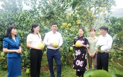 Ứng dụng khoa học kỹ thuật để nâng cao chất lượng sản phẩm, giúp chị em phát triển kinh tế