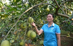 Phó Chủ tịch Hội LHPN xã làm kinh tế giỏi, giúp đỡ nhiều hội viên thoát nghèo 