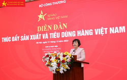 Hàng Việt Nam đã, đang và tiếp tục bao phủ rộng khắp các mạng lưới phân phối